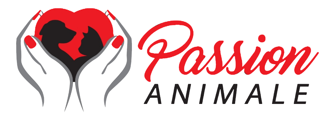 logo-png